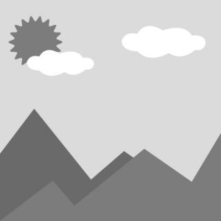 Hot Sales Cummins Diesel Engine Parts Original Wire Harness 5483101 G5483101 L9 Qsl9.3 Cm2880 L113 Construction Machinery